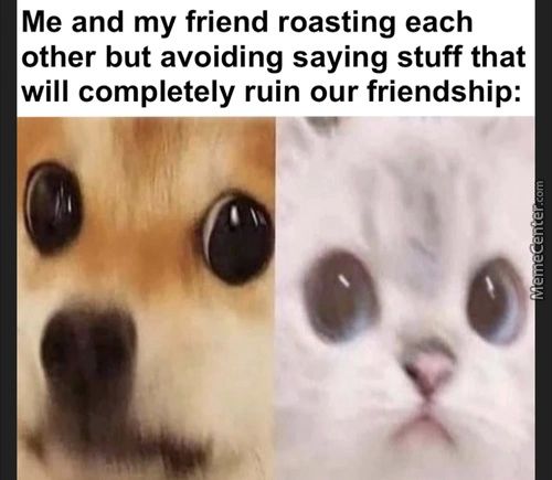 Me And My Friend Roasting Each
Other But Avoiding Saying Stuff That
Will Completely Ruin Our Friendship:
