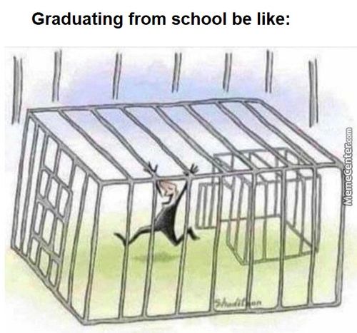 Graduating From School Be Like:
