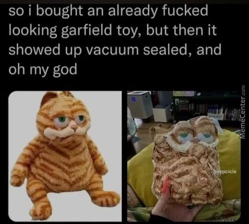 So I Bought An Already Fucked
Looking Garfield Toy, But Then It
Showed Up Vacuum Sealed, And
Oh My God

