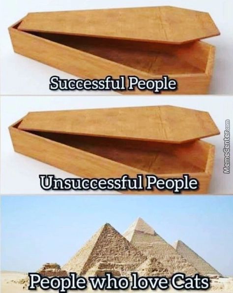 Successful Reoplei
Unsuccessful People :
Peaple Wh-o Love'Gats
