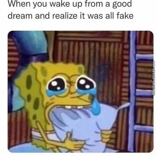 When You Wake Up From A Good
Dream And Realize It Was All Fake
