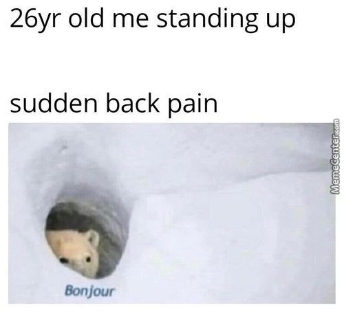 26yr Old Me Standing Up
Sudden Back Pain
Q'
Bonjour
