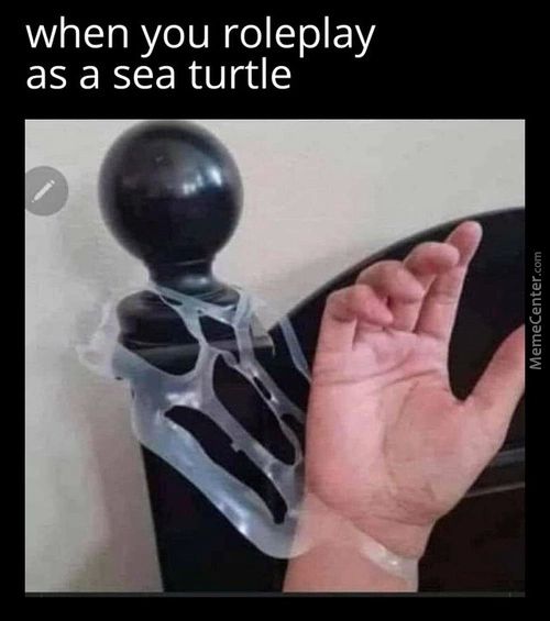 When You Roleplay
As A Sea Turtle
