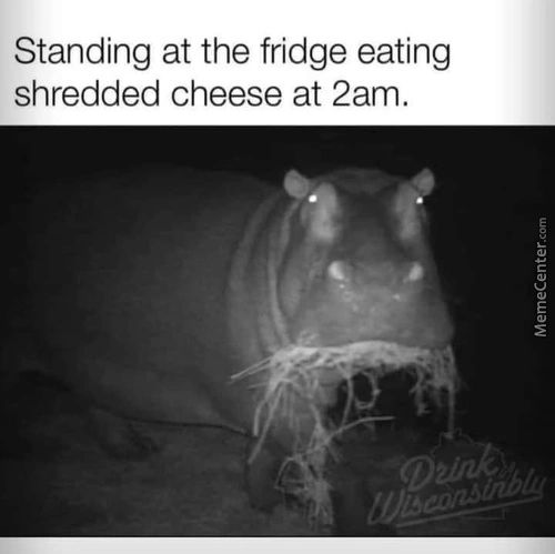 Standing At The Fridge Eating
Shredded Cheese At 2am.
