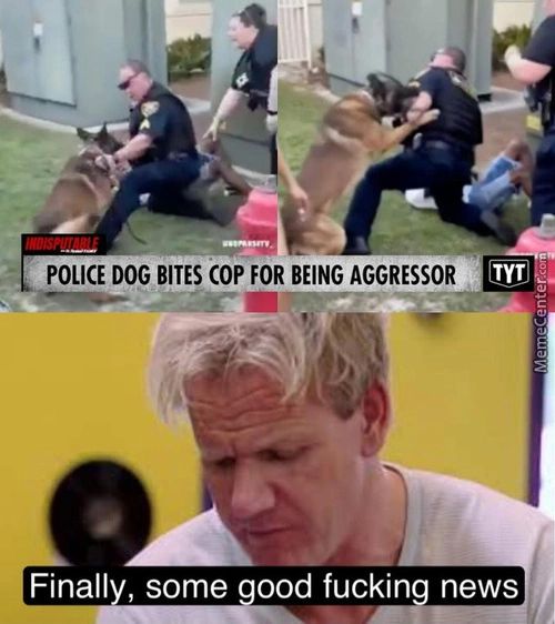 POLICE DOG BITES Cop FOR BEING AGGRESSOR
Finall
, Some Ood Fuckin News
