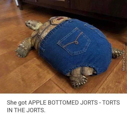 She Got APPLE BOTTOMED JORTS - TORTS
IN THE JORTS.
