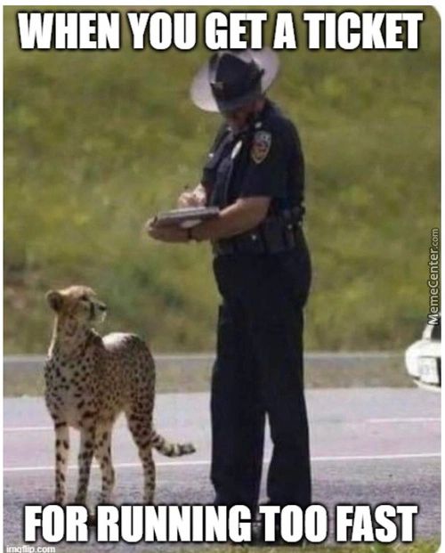 WHEN GET A TICKET
FOR RUNNING TOO FAST
