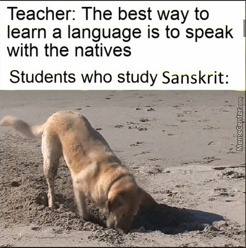 Teacher: The Best Way To
Learn A Language Is To Speak
With The Natives
Students Who Study Sanskrit:
