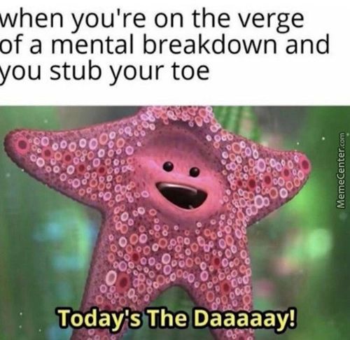 When You're On The Verge
Of A Mental Breakdown And
You Stub Your Toe
Today's TheSDaaaaay!
