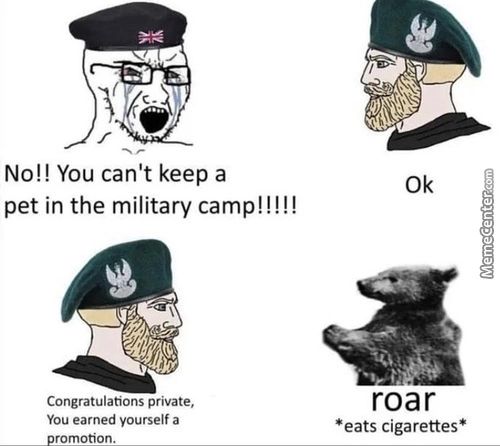 No!! You Can't Keep A
Pet In The Military Camp! !!!!
Congratulations Private,
You Earned Yourself A
Promotion.
0k
Roar
*eats Cigarettes*
