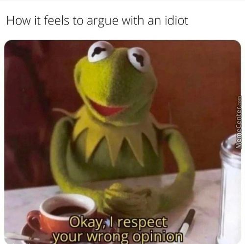How It Feels To Argue With An Idiot
Arespe'st—
