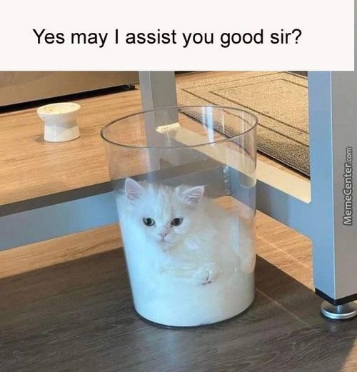 Yes May I Assist You Good Sir?
