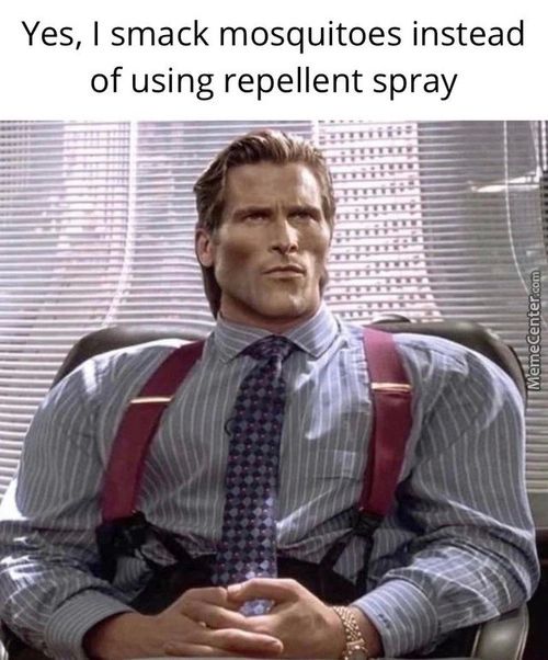Yes, I Smack Mosquitoes Instead
Of Using Repellent Spray
