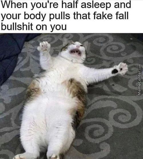 When You're Half Asleep And
Your Body Pulls That Fake Fall
Bullshit On You
