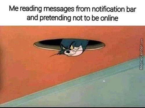 Me Reading Messages From Notification Bar
And Pretending Not To Be Online
