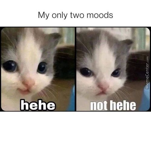 My Only Two Moods
Not Hehe

