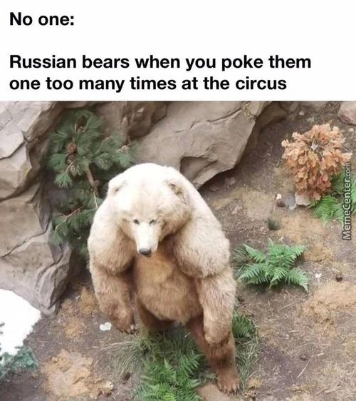 No One:
Russian Bears When You Poke Them
One Too Many Times At The Circus
