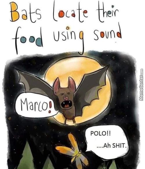 Baes Oca E
Etc
Usin
Marco!
POLO!!
....Ah SHIT.
