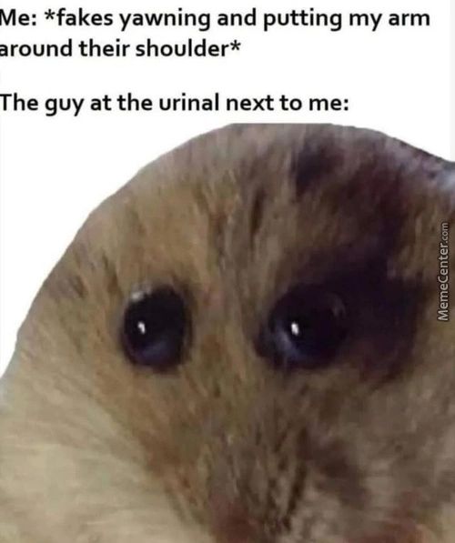 Me: *fakes Yawning And Putting My Arm
Around Their Shoulder*
The Guy At The Urinal Next To Me:
