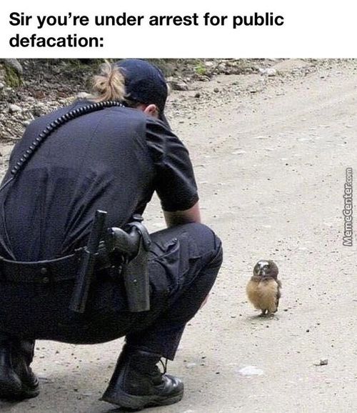 Sir You're Under Arrest For Public
Defacation:
