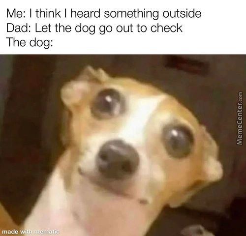 Me: I Think I Heard Something Outside
Dad: Let The Dog Go Out To Check
The Dog:
