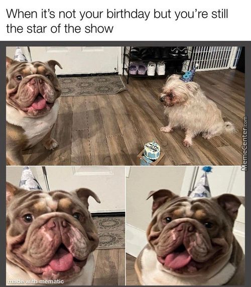 When It's Not Your Birthday But You're Still
The Star Of The Show
