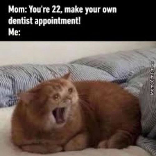 Mom: Yoüe 22, Make Your Own
Dentist Appointment!
Me:
