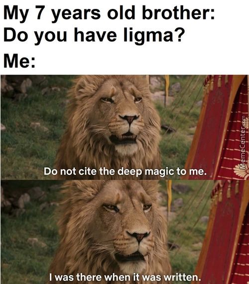 My 7 Years Old Brother:
Do You Have Ligma?
Do Not Cite The Deep Magic To Me.
I Was There When It Was Written.
