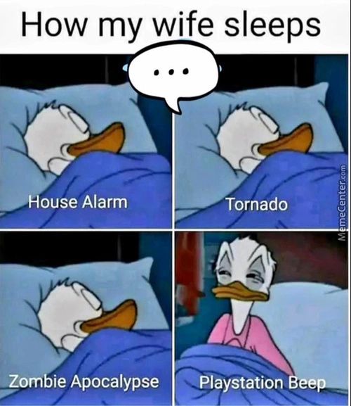 How My Wife Sleeps
..øHouse Alarm
Zombie Apocalypse
Tornado
Playstation
