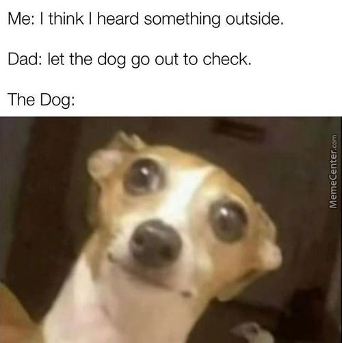 Me: I Think I Heard Something Outside.
Dad: Let The Dog Go Out To Check.
The Dog:
