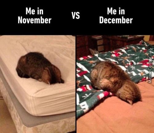 Me In
November
Vs
Me In
December
