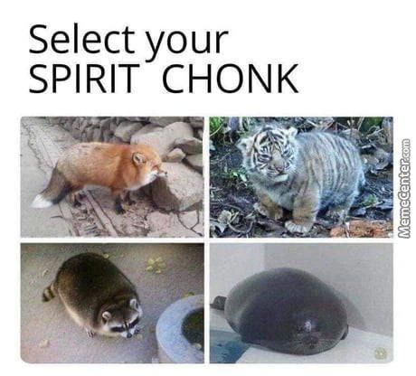 Select Your
SPIRIT CHONK
