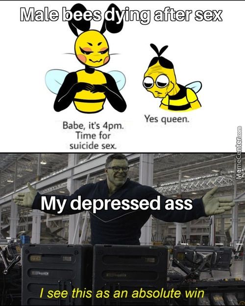 Male Bees Dying After Sex
Yes Queen.
Babe, It's 4pm.
Time For
Suicide Sex.
My Depressed Ass
I See This As An Absolute Wi
