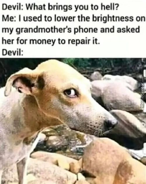 Devil: What Brings You To Hell?
Me: I Used To Lower The Brightness On
My Grandmother's Phone And Asked
Her For Money To Repair It.
Devil:
