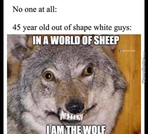 No One At All:
45 Year Old Out Of Shape White Guys:
A WORLD OF SHEEP
