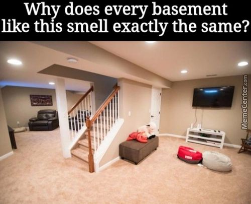 Why Does Every Basement
Like This Smell Exactly The Same?
