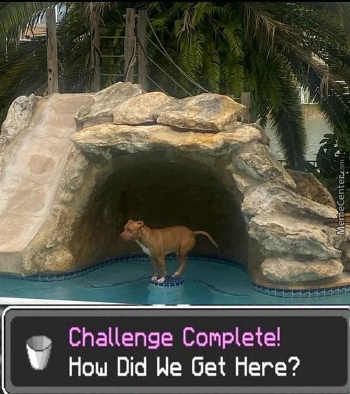 Challenge Complete!
Hou Did We Get Here?
