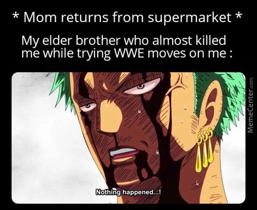 * Mom Returns From Supermarket *
My Elder Brother Who Almost Killed
Me While Trying WWE Moves On Me :
Nothing Happened.„!
