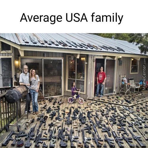 Average USA Family
