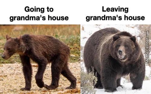 Going To
Grandma's House
Leaving
Grandma's House
