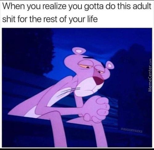 When You Realize You Gotta Do This Adult
Shit For The Rest Of Your Life
