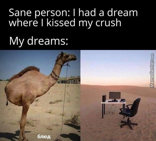 Sane Person: I Had A Dream
Where I Kissed My Crush
My Dreams:
6moa
