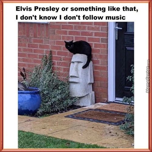 Elvis Presley Or Something Like That,
I Don't Know I Don't Follow Music
