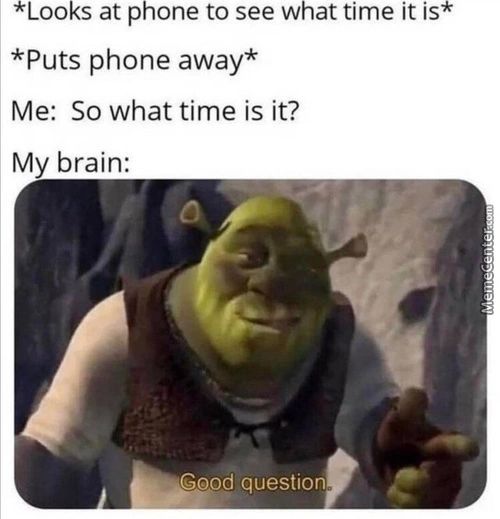 *Looks At Phone To See What Time It Is*
*Puts Phone Away*
Me: So What Time Is It?
My Brain:
Good Question
