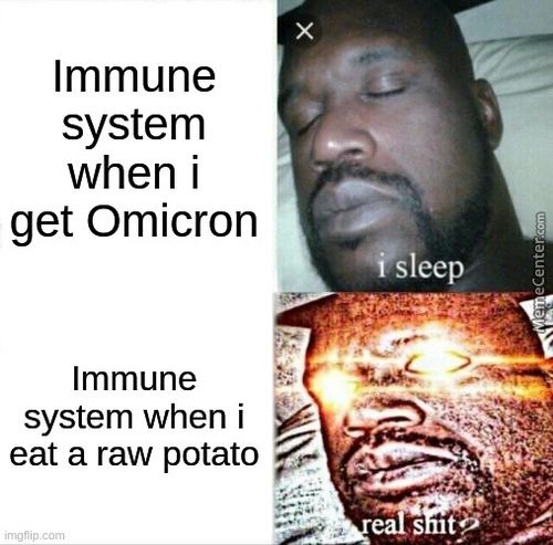 Immune
System
When I
Get Omicron
Immune
System When I
Eat A Raw Potato
Imgflip.corll
*sleep
