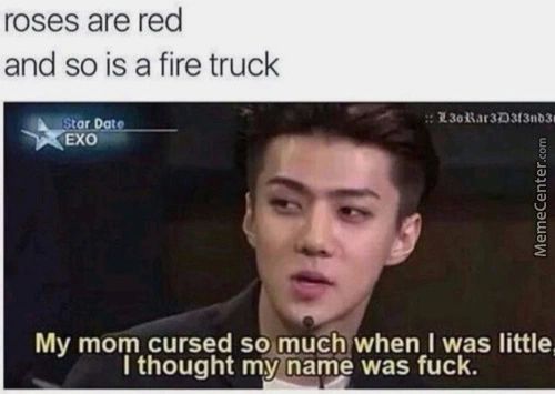 Roses Are Red
And So Is A Fire Truck
•Éxo
My Mom Cursed So,muCWwhen I Was Little,
I Thought M.Vhame Was Fuck.

