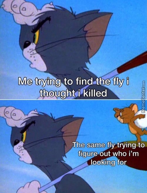 Me Trying To Find-the Fly I
Thoughti Killed
Trying-to.
Figur Out Who I'm
Looking For
