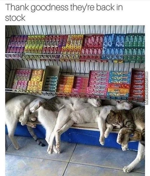 Thank Goodness Theyre Back In
Stock
