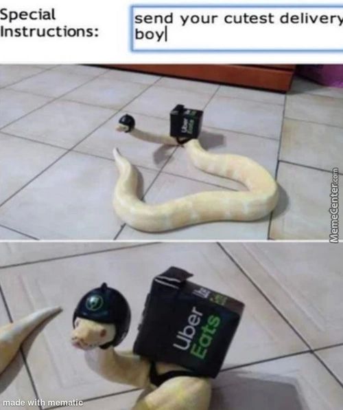 Special
Instructions:
DeWit
Send Your Cutest Delivery
Boyl
