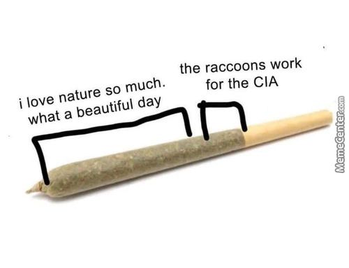 The Raccoons Work
I Love Nature So Much.
What A Beautiful Day
For The CIA

